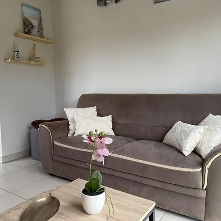 6 Pers Avec Terrasse à - Fr-1-309-516 Appartement Banyuls-sur-Mer