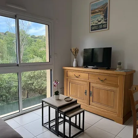 Banyuls-sur-mer: Pour 6 Avec Terrasse Et Parking - Fr-1-309-516 Lägenhet Banyuls-sur-Mer